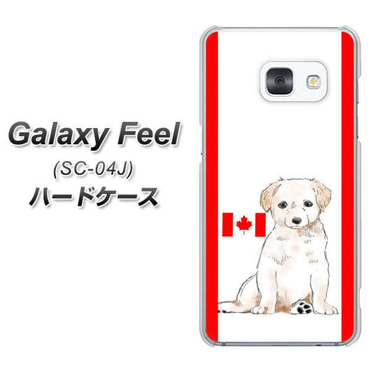 docomo ギャラクシー フィール SC-04J 高画質仕上げ 背面印刷 ハードケース【YD824 ラブラドールレトリバー05】