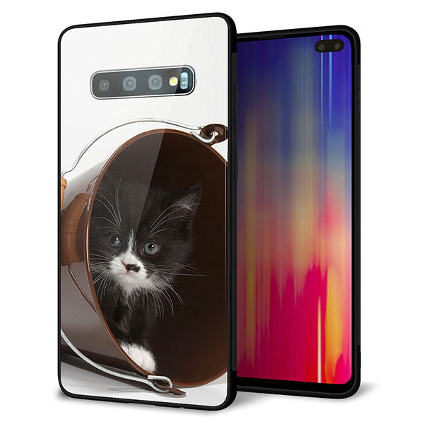 docomo ギャラクシー S10+ SC-04L 強化ガラス&TPUスマホケース ガラプリ【VA800 ネコとバケツ】