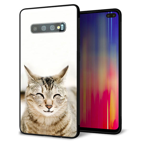docomo ギャラクシー S10+ SC-04L 強化ガラス&TPUスマホケース ガラプリ【VA801 笑福ねこ】