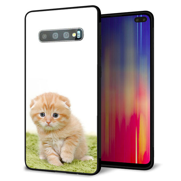 docomo ギャラクシー S10+ SC-04L 強化ガラス&TPUスマホケース ガラプリ【VA802 ネコこっそり】
