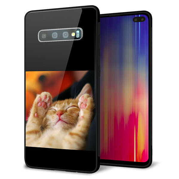 docomo ギャラクシー S10+ SC-04L 強化ガラス&TPUスマホケース ガラプリ【VA804 爆睡するネコ】