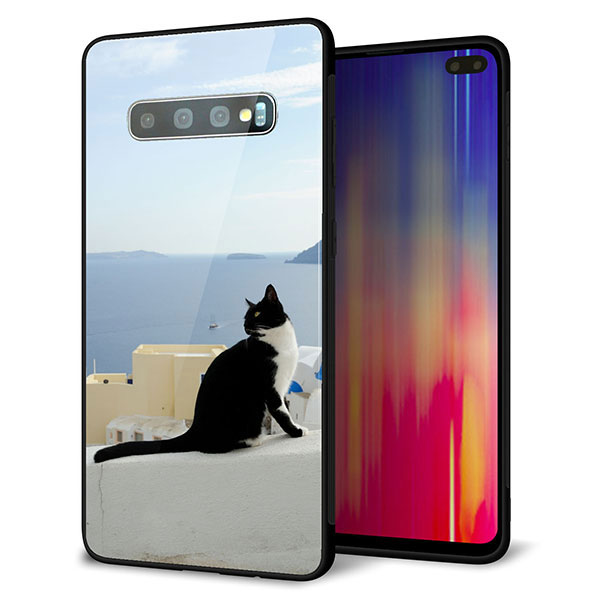 docomo ギャラクシー S10+ SC-04L 強化ガラス&TPUスマホケース ガラプリ【VA805 ネコと地中海】