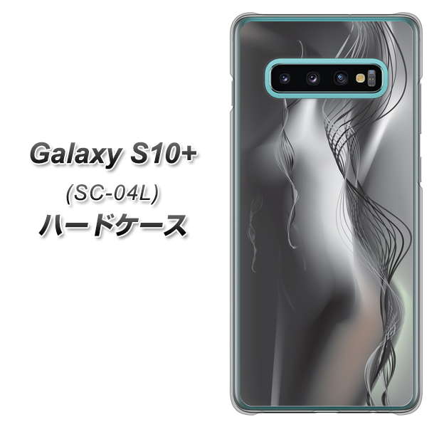 docomo ギャラクシー S10+ SC-04L 高画質仕上げ 背面印刷 ハードケース【566 ボディウォール】