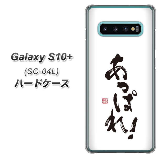 docomo ギャラクシー S10+ SC-04L 高画質仕上げ 背面印刷 ハードケース【OE846 あっぱれ!】