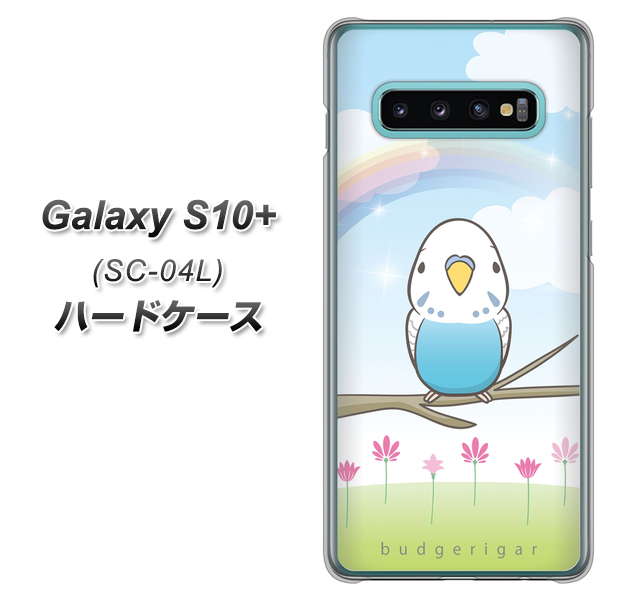 docomo ギャラクシー S10+ SC-04L 高画質仕上げ 背面印刷 ハードケース【SC839 セキセイインコ ブルー】