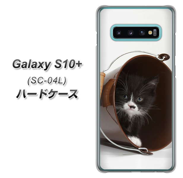 docomo ギャラクシー S10+ SC-04L 高画質仕上げ 背面印刷 ハードケース【VA800 ネコとバケツ】