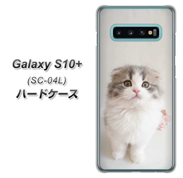 docomo ギャラクシー S10+ SC-04L 高画質仕上げ 背面印刷 ハードケース【VA803 まっていますネコ】