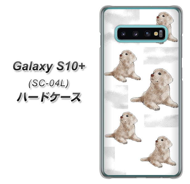 docomo ギャラクシー S10+ SC-04L 高画質仕上げ 背面印刷 ハードケース【YD823 ラブラドールレトリバー04】