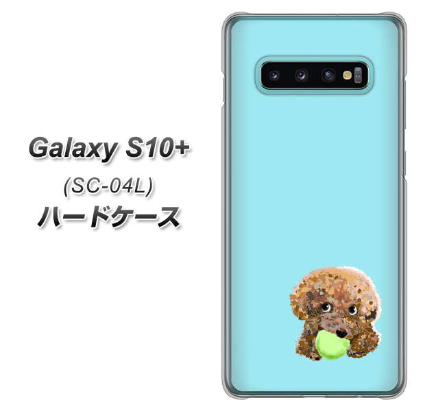 docomo ギャラクシー S10+ SC-04L 高画質仕上げ 背面印刷 ハードケース【YJ054 トイプードル&ボール(ブルー)】