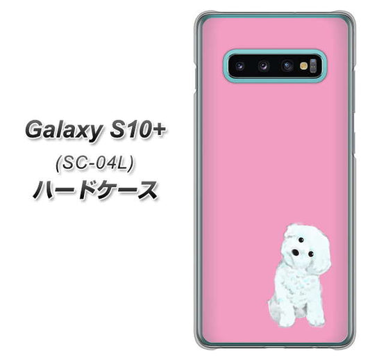 docomo ギャラクシー S10+ SC-04L 高画質仕上げ 背面印刷 ハードケース【YJ069 トイプードルホワイト(ピンク)】