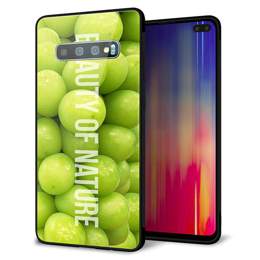 docomo ギャラクシー S10+ オリンピック限定モデル SC-05L 強化ガラス&TPUスマホケース ガラプリ【MA880 マスカット】