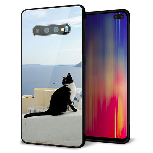 docomo ギャラクシー S10+ オリンピック限定モデル SC-05L 強化ガラス&TPUスマホケース ガラプリ【VA805 ネコと地中海】