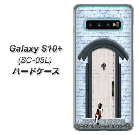 docomo ギャラクシー S10+ オリンピック限定モデル SC-05L 高画質仕上げ 背面印刷 ハードケース【YA951 石ドア01】