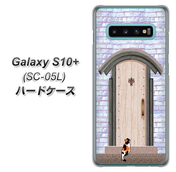 docomo ギャラクシー S10+ オリンピック限定モデル SC-05L 高画質仕上げ 背面印刷 ハードケース【YA952 石ドア02 素材クリア】