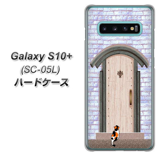 docomo ギャラクシー S10+ オリンピック限定モデル SC-05L 高画質仕上げ 背面印刷 ハードケース【YA952 石ドア02 素材クリア】