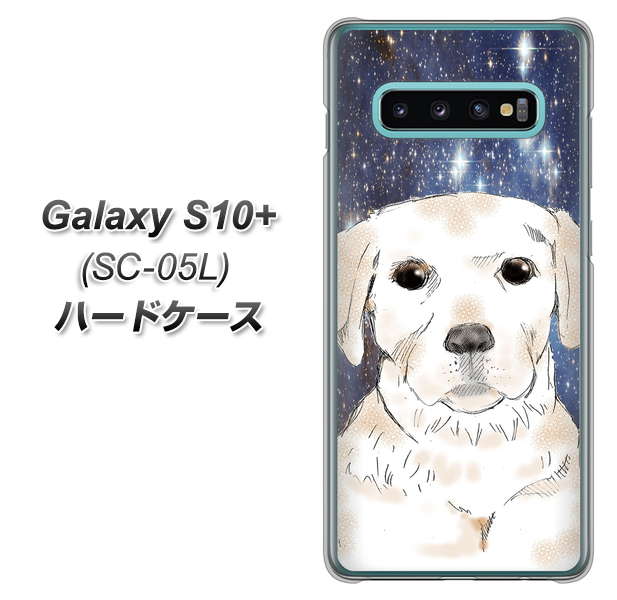 docomo ギャラクシー S10+ オリンピック限定モデル SC-05L 高画質仕上げ 背面印刷 ハードケース【YD820 ラブラドールレトリバー01】