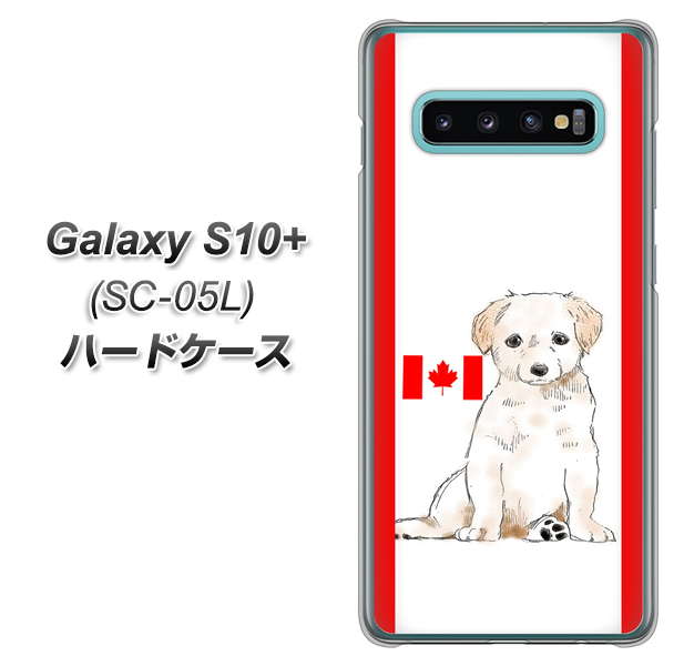 docomo ギャラクシー S10+ オリンピック限定モデル SC-05L 高画質仕上げ 背面印刷 ハードケース【YD824 ラブラドールレトリバー05】