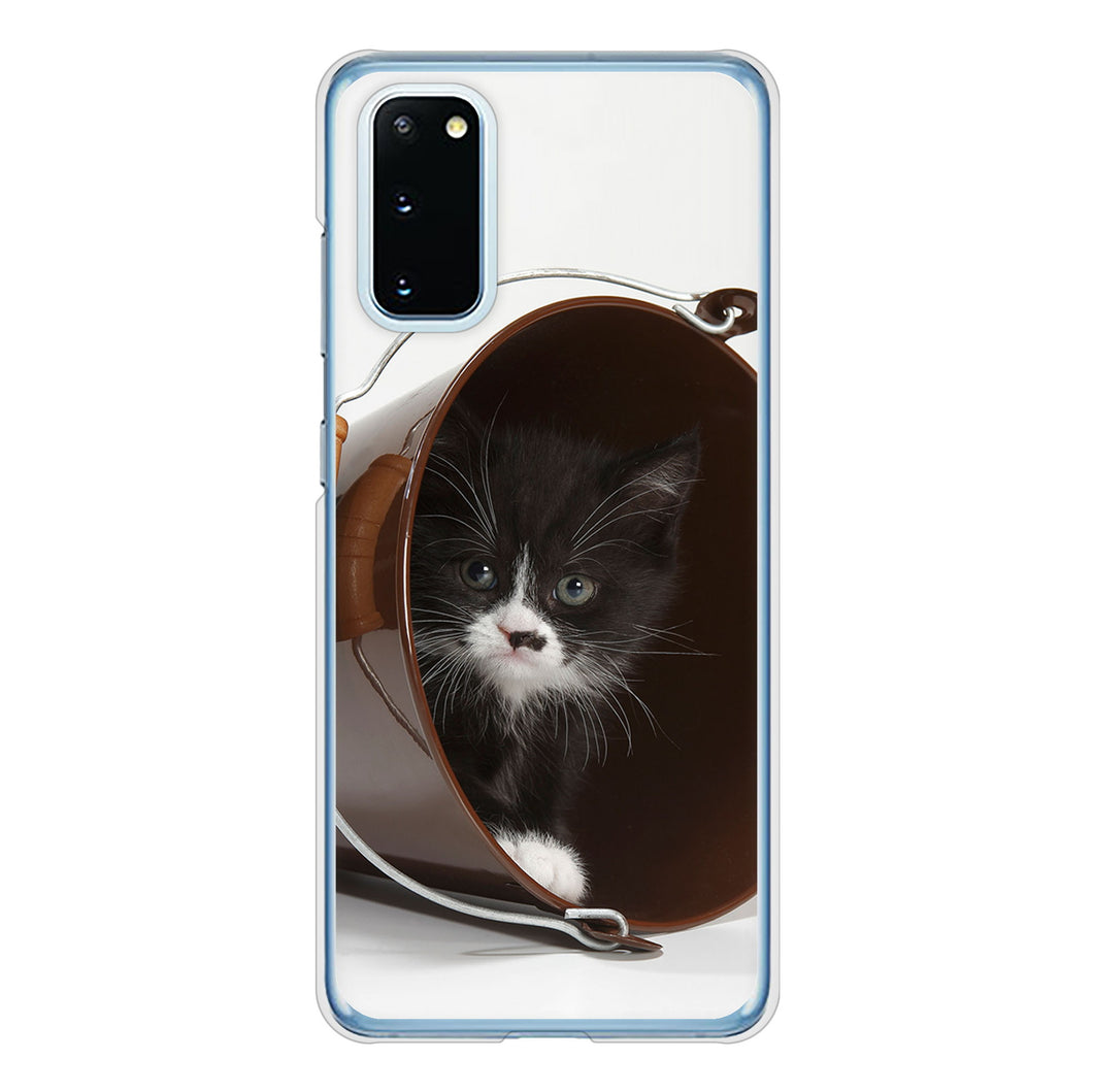 Galaxy S20 5G SC-51A docomo 高画質仕上げ 背面印刷 ハードケース 【VA800 ネコとバケツ】