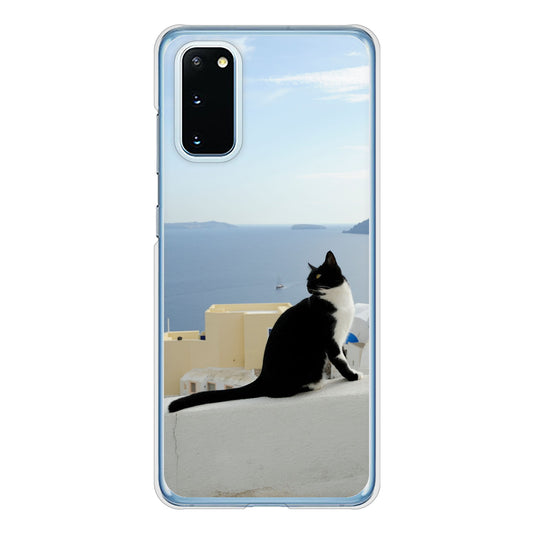 Galaxy S20 5G SC-51A docomo 高画質仕上げ 背面印刷 ハードケース 【VA805 ネコと地中海】