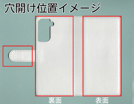 Galaxy S21 5G SC-51B docomo ダイヤモンドパイソン(本革) 手帳型ケース
