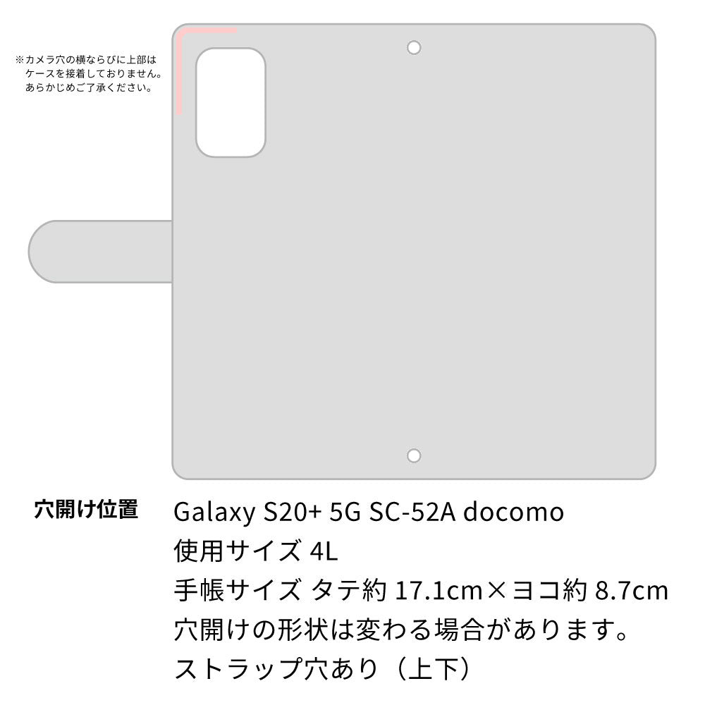 Galaxy S20+ 5G SC-52A docomo スマホケース 手帳型 リボン キラキラ チェック