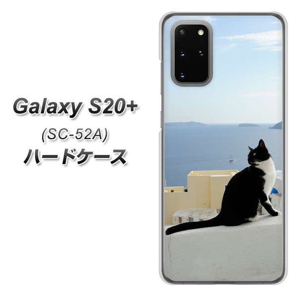 docomo ギャラクシーS20+ SC-52A 高画質仕上げ 背面印刷 ハードケース【VA805 ネコと地中海】