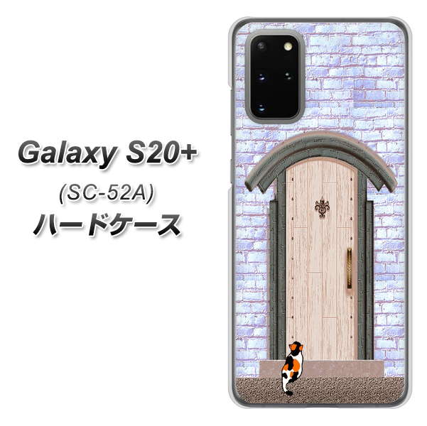docomo ギャラクシーS20+ SC-52A 高画質仕上げ 背面印刷 ハードケース【YA952 石ドア02 素材クリア】