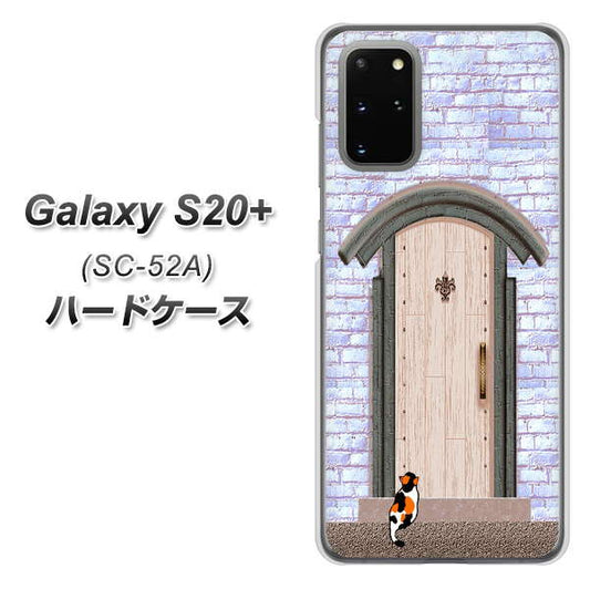 docomo ギャラクシーS20+ SC-52A 高画質仕上げ 背面印刷 ハードケース【YA952 石ドア02 素材クリア】