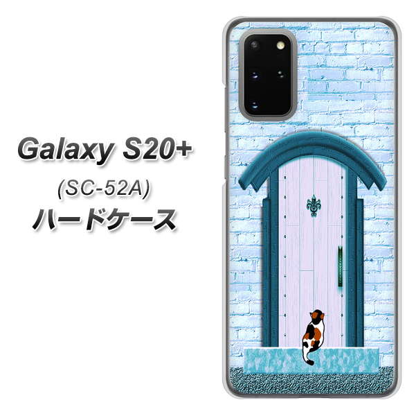 docomo ギャラクシーS20+ SC-52A 高画質仕上げ 背面印刷 ハードケース【YA953 石ドア03 素材クリア】