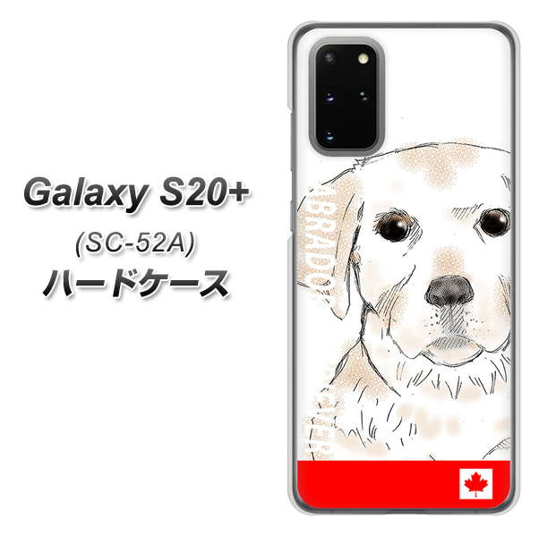 docomo ギャラクシーS20+ SC-52A 高画質仕上げ 背面印刷 ハードケース【YD821 ラブラドールレトリバー02】