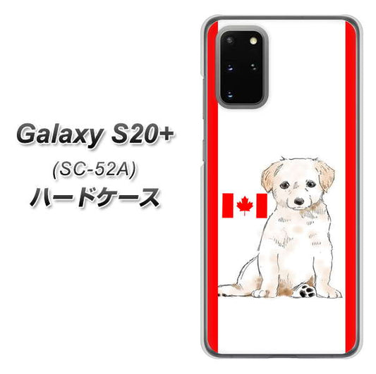 docomo ギャラクシーS20+ SC-52A 高画質仕上げ 背面印刷 ハードケース【YD824 ラブラドールレトリバー05】