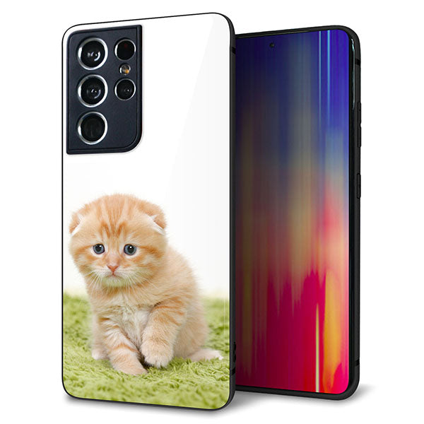 docomo ギャラクシーS21 ウルトラ 5G SC-52B 強化ガラス&TPUスマホケース ガラプリ【VA802 ネコこっそり】
