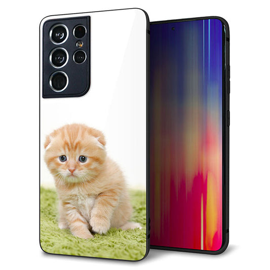 docomo ギャラクシーS21 ウルトラ 5G SC-52B 強化ガラス&TPUスマホケース ガラプリ【VA802 ネコこっそり】