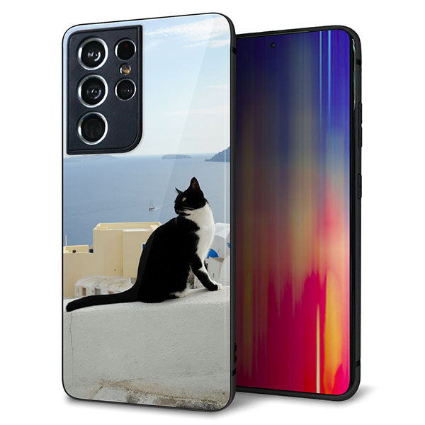 docomo ギャラクシーS21 ウルトラ 5G SC-52B 強化ガラス&TPUスマホケース ガラプリ【VA805 ネコと地中海】