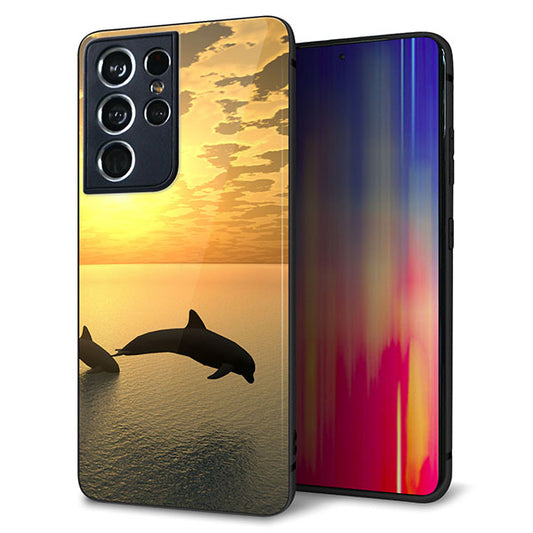 docomo ギャラクシーS21 ウルトラ 5G SC-52B 強化ガラス&TPUスマホケース ガラプリ【VA845 夕暮れのドルフィン】