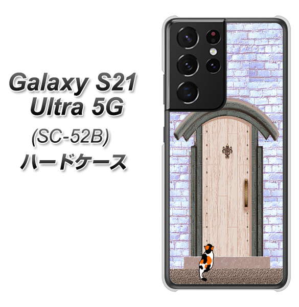docomo ギャラクシーS21 ウルトラ 5G SC-52B 高画質仕上げ 背面印刷 ハードケース【YA952 石ドア02 素材クリア】