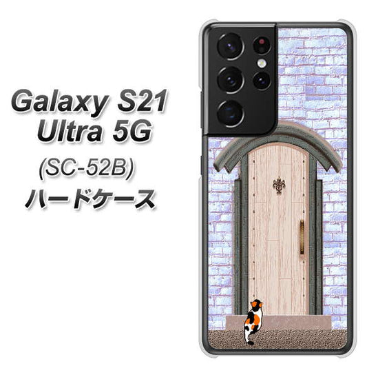 docomo ギャラクシーS21 ウルトラ 5G SC-52B 高画質仕上げ 背面印刷 ハードケース【YA952 石ドア02 素材クリア】
