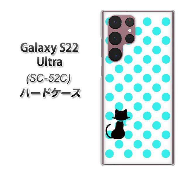 Galaxy S22 Ultra SC-52C docomo 高画質仕上げ 背面印刷 ハードケース【EK809 ネコとシンプル ライトブルー】