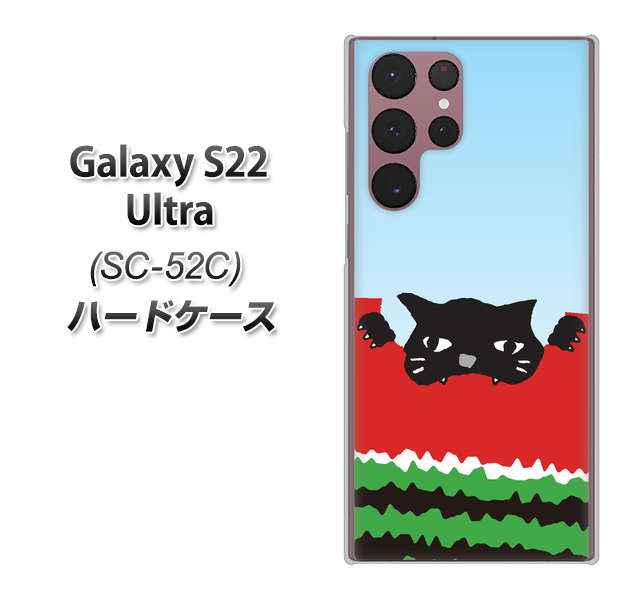 Galaxy S22 Ultra SC-52C docomo 高画質仕上げ 背面印刷 ハードケース【IA815 すいかをかじるネコ(大)】