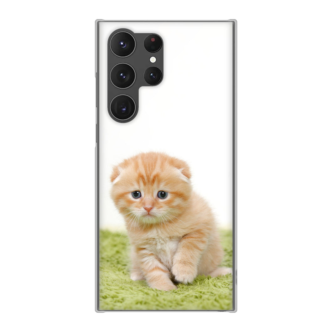 Galaxy S23 Ultra SC-52D docomo 高画質仕上げ 背面印刷 ハードケース 【VA802 ネコこっそり】