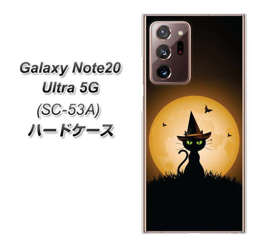 docomo ギャラクシー ノート20 ウルトラ 5G SC-53A 高画質仕上げ 背面印刷 ハードケース【440 猫の魔法使い】