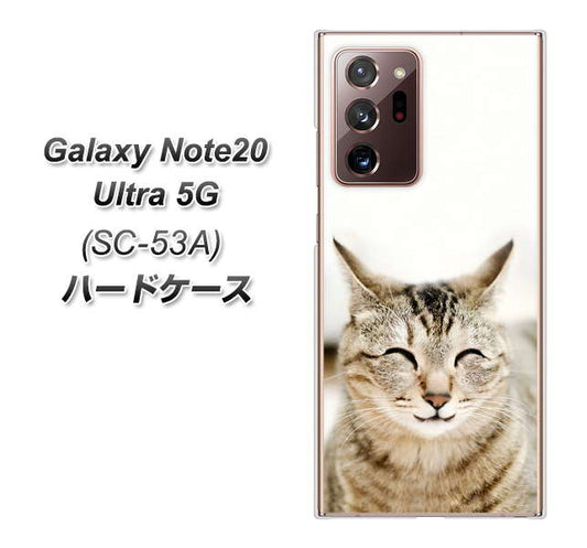 docomo ギャラクシー ノート20 ウルトラ 5G SC-53A 高画質仕上げ 背面印刷 ハードケース【VA801 笑福ねこ】