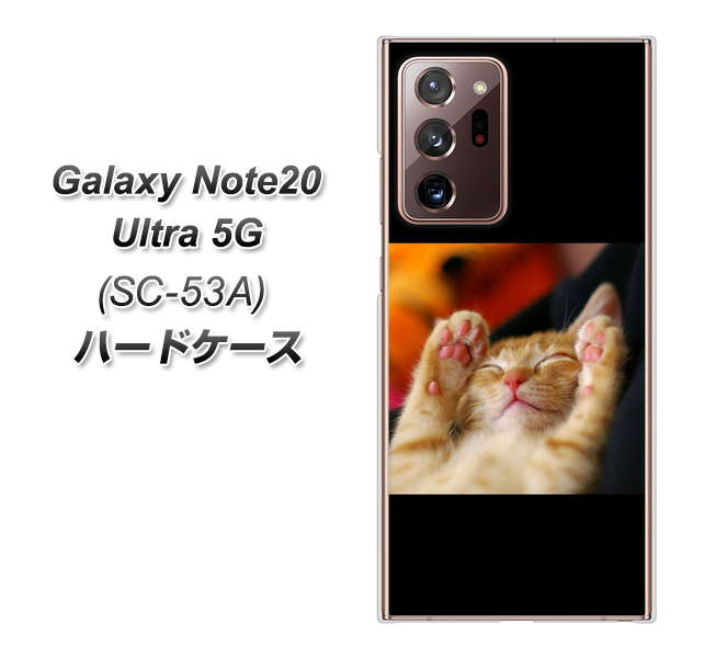 docomo ギャラクシー ノート20 ウルトラ 5G SC-53A 高画質仕上げ 背面印刷 ハードケース【VA804 爆睡するネコ】