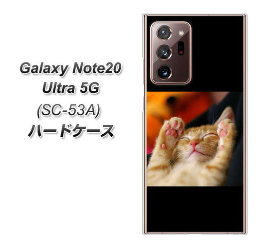 docomo ギャラクシー ノート20 ウルトラ 5G SC-53A 高画質仕上げ 背面印刷 ハードケース【VA804 爆睡するネコ】