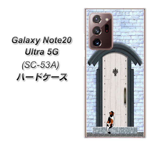docomo ギャラクシー ノート20 ウルトラ 5G SC-53A 高画質仕上げ 背面印刷 ハードケース【YA951 石ドア01】