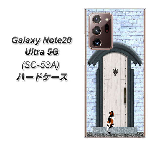 docomo ギャラクシー ノート20 ウルトラ 5G SC-53A 高画質仕上げ 背面印刷 ハードケース【YA951 石ドア01】