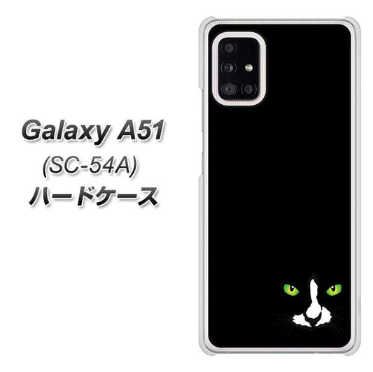 docomo ギャラクシーA51 SC-54A 高画質仕上げ 背面印刷 ハードケース【398 黒ネコ】