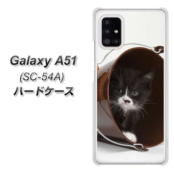 docomo ギャラクシーA51 SC-54A 高画質仕上げ 背面印刷 ハードケース【VA800 ネコとバケツ】