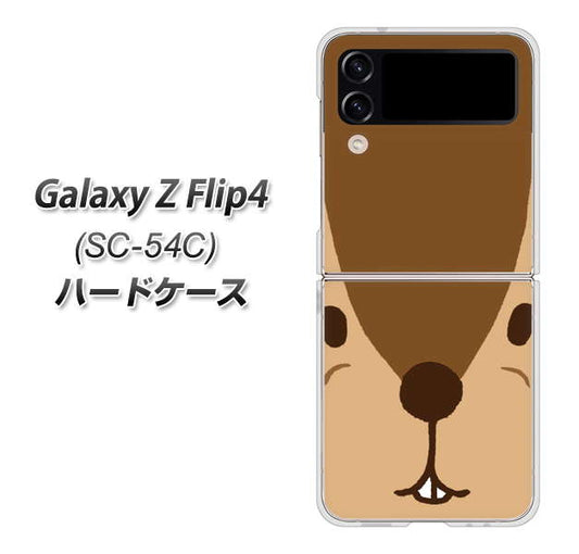 Galaxy Z Flip4 SC-54C docomo 高画質仕上げ 背面印刷 ハードケース【349 りす】
