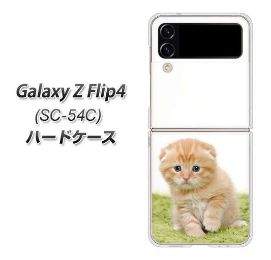 Galaxy Z Flip4 SC-54C docomo 高画質仕上げ 背面印刷 ハードケース【VA802 ネコこっそり】